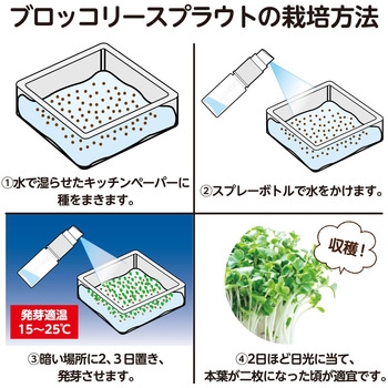 水耕栽培でブロッコリースプラウトを育てよう アーテック[学校教材・教育玩具]