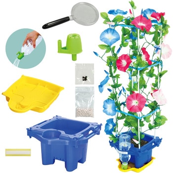 あさがお栽培セット アーテック[学校教材・教育玩具]