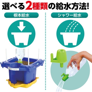 あさがお栽培セット アーテック[学校教材・教育玩具]