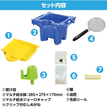 あさがお栽培セット アーテック[学校教材・教育玩具]