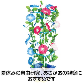 あさがお栽培セット アーテック[学校教材・教育玩具]