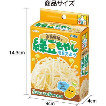 水耕栽培で緑豆もやしを育てよう アーテック(学校教材・教育玩具)