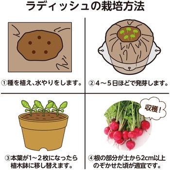 お家で楽しく栽培キット アーテック(学校教材・教育玩具)