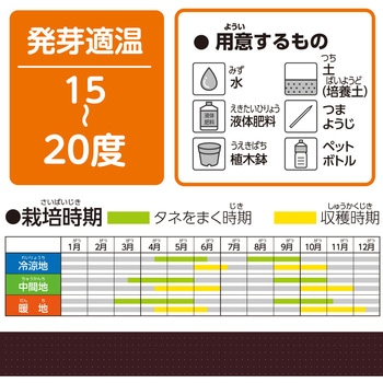 お家で楽しく栽培キット アーテック(学校教材・教育玩具)