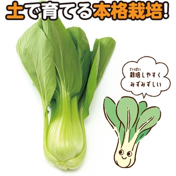 お家で楽しく栽培キット アーテック(学校教材・教育玩具)