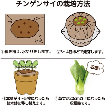 お家で楽しく栽培キット アーテック(学校教材・教育玩具)