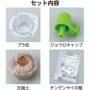 お家で楽しく栽培キット アーテック(学校教材・教育玩具)