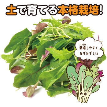 お家で楽しく栽培キット アーテック(学校教材・教育玩具)