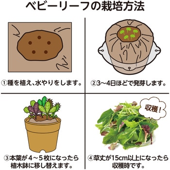 お家で楽しく栽培キット アーテック(学校教材・教育玩具)