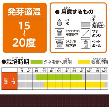 お家で楽しく栽培キット アーテック(学校教材・教育玩具)