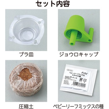 お家で楽しく栽培キット アーテック(学校教材・教育玩具)