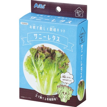 102933 ���ƂŊy�����͔|�L�b�g �A�[�e�b�N[�w�Z���ށE����ߋ�] 85508414