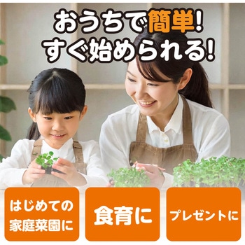 お家で楽しく栽培キット アーテック(学校教材・教育玩具)