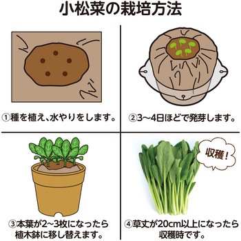 お家で楽しく栽培キット アーテック(学校教材・教育玩具)