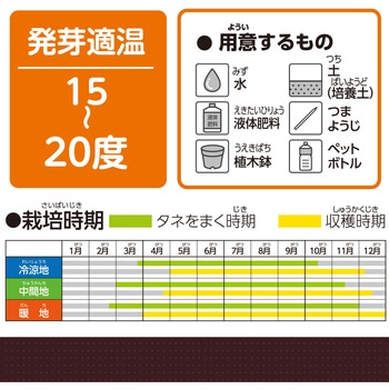 お家で楽しく栽培キット アーテック(学校教材・教育玩具)
