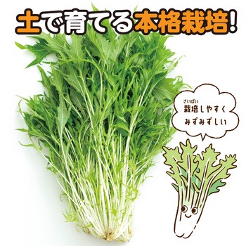 お家で楽しく栽培キット アーテック(学校教材・教育玩具)