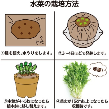 お家で楽しく栽培キット アーテック(学校教材・教育玩具)