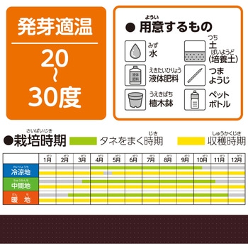 お家で楽しく栽培キット アーテック(学校教材・教育玩具)