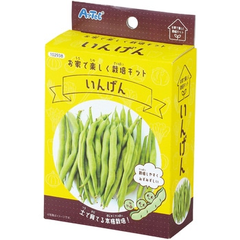 お家で楽しく栽培キット アーテック(学校教材・教育玩具)
