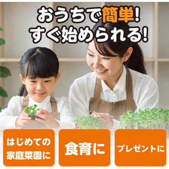 お家で楽しく栽培キット アーテック(学校教材・教育玩具)