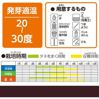 お家で楽しく栽培キット アーテック(学校教材・教育玩具)