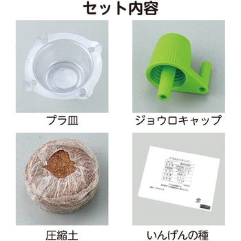 お家で楽しく栽培キット アーテック(学校教材・教育玩具)