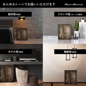 ペルチェ式1ドア冷蔵庫23L Hanx