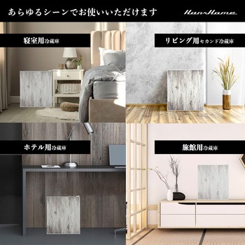 ペルチェ式1ドア冷蔵庫23L Hanx