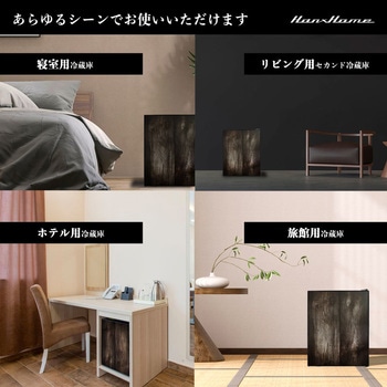 ペルチェ式1ドア冷蔵庫40L Hanx