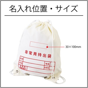 【名入れ】A4ボックス非常用持出袋30点セット ボウエキ(BOUEKI)