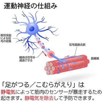 脚ツラン・ベルト 2本組 足首ベルト こむら返り予防 足の痙攣防止 就寝時 アクセス