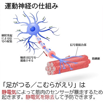 脚ツラン・メッシュ 2本組 足首ベルト こむら返り予防 足の痙攣防止 就寝時 アクセス