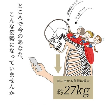 ネックストレッチャープロ 首ストレッチ 首コルセット 頸椎ケア 軽量 装着簡単 アクセス