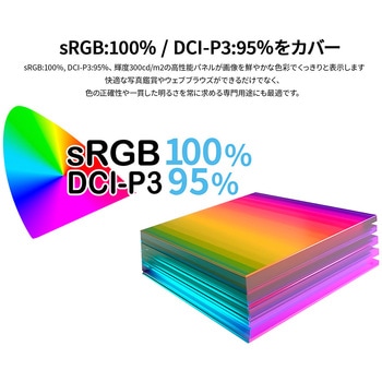 液晶ディスプレイ 23.8型/3840×2160/HDMI、DP、USB Type-C×1/ブラック/スピーカー有/2年保証 JAPANNEXT
