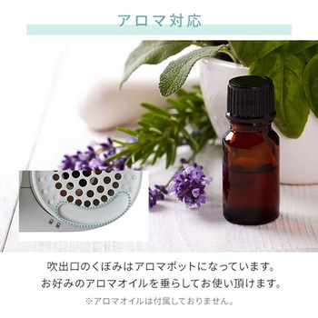 スチーム式加湿器 アロマ対応 YAMAZEN(山善)