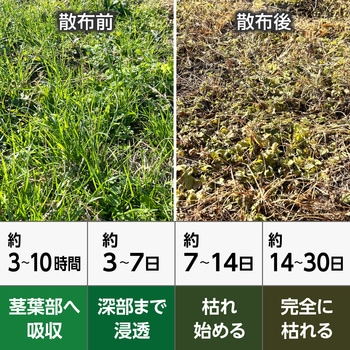 除草剤 農耕地用 原液 モノタロウ