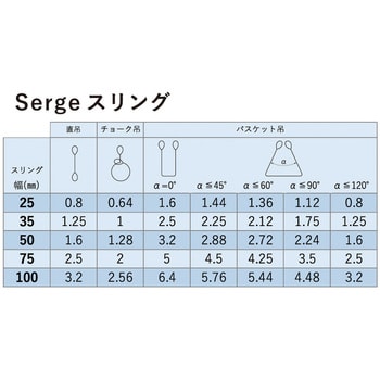 30502 サージスリング(JIS3等級・両端アイ形) 50巾 1本 アイビッグ