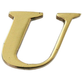 真鍮ゴールド文字 光