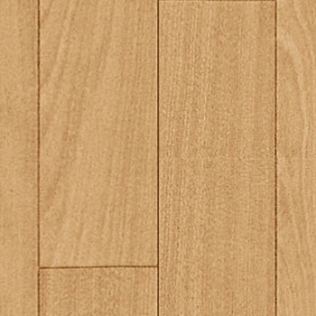 E5039 NbVtA E^Cv TN VR[ 86316598