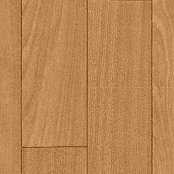 E5040 NbVtA E^Cv TN VR[ 86316668