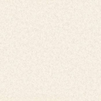 クッションフロア Eタイプ シルキーグラス シンコール