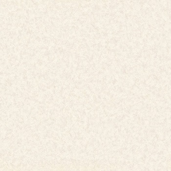 クッションフロア Eタイプ シルキーグラス シンコール