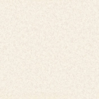 クッションフロア Eタイプ シルキーグラス シンコール