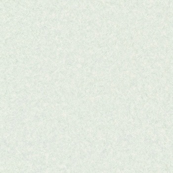 E5075 �N�b�V�����t���A E�^�C�v �V���L�[�O���X �V���R�[�� 86319608