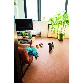 CES5427 �N�b�V�����t���A CES�^�C�v ���C�v�� �V���R�[�� 86324368