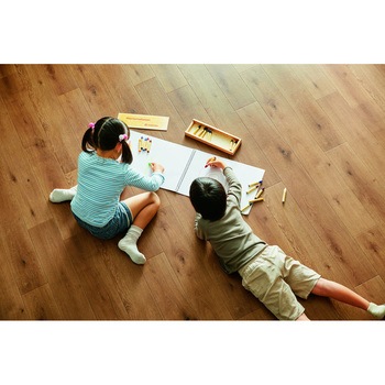 S5520 �N�b�V�����t���A S�^�C�v ���X�e�B�b�N�I�[�N �V���R�[�� 86325908