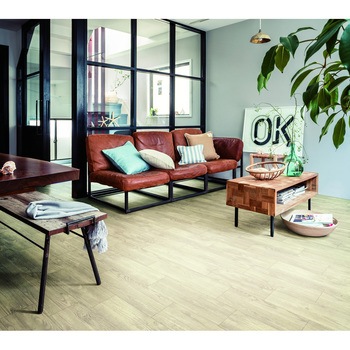 S5521 �N�b�V�����t���A S�^�C�v �I�[���h�p�C�� �V���R�[�� 86325978