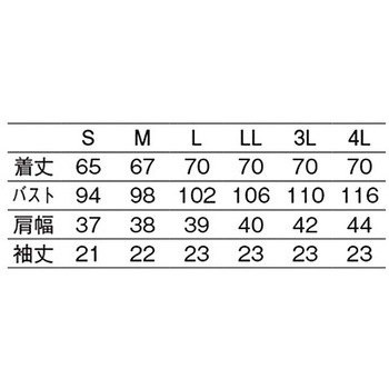 レディス医務衣半袖 ホワイト REP105T-10シリーズ サンアロー