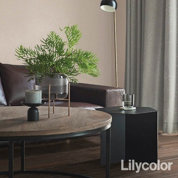 LB-9269 �ʎY�ǎ� BASE  �����g�b�v�R�[�g�\�ʋ��x�A�b�v�R�ۖh�J�r LB-9269 �����J�� 86396967