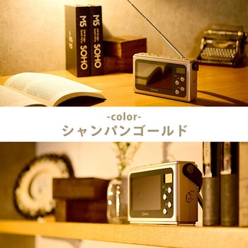 JYTM-RTV430(CG) 手回し充電ワンセグテレビ 1個 YAMAZEN(山善